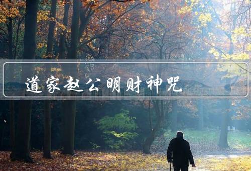 道家赵公明财神咒，财富与好运、信仰与崇拜、咒语的重要性