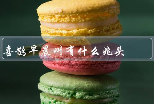 喜鹊早晨叫有什么兆头（兆头、与好运关系、其他寓意）