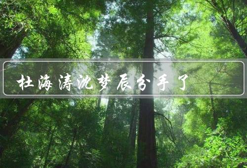 杜海涛沈梦辰分手了，分手原因、公众反应、对未来的展望