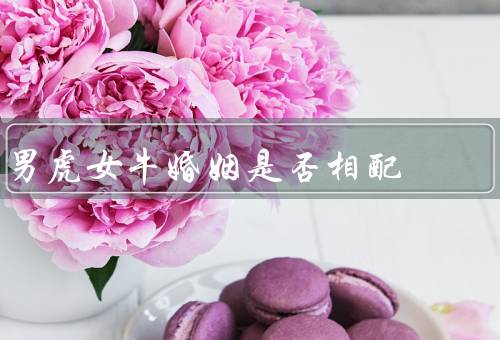 男虎女牛婚姻是否相配