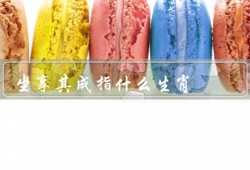 坐享其成指什么生肖，鼠人／属猪人／龙人