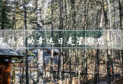 天蝎座的幸运日是星期几，星期四／行动和决策／颜色和数字