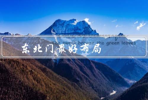 东北门最好布局