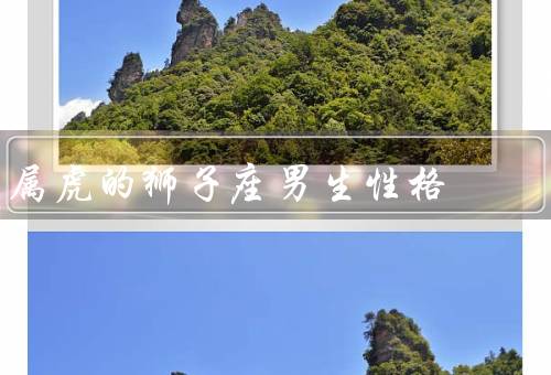 属虎的狮子座男生性格（天生的领导者、独立而坚定、热情而激情）