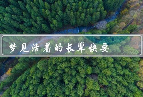 梦见活着的长辈快要去世（梦中的焦虑／心理的反应／梦境的象征意义）