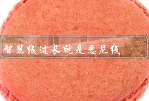 智慧线过长就是悉尼线，发展历程／特点／对悉尼市民生活影响