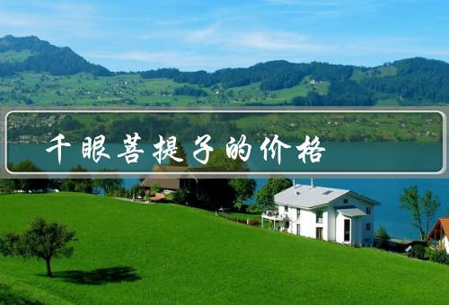 千眼菩提子的价格（起源／功效／价格）