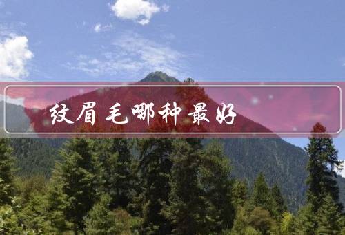 纹眉毛哪种最好 自然，纹眉毛的好处／纹眉的方法