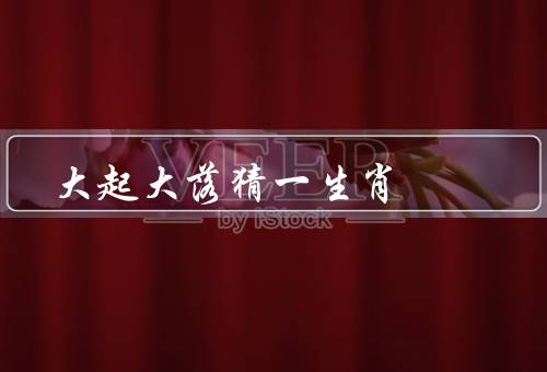 大起大落猜一生肖，游戏的起源和发展／魅力