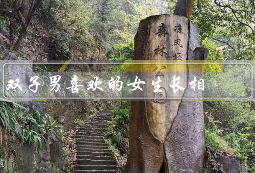 双子男喜欢的女生长相，自然清新／灵动可爱／自信独立