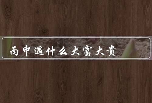 丙申遇什么大富大贵（贵人相助／聪明才智／勤奋努力）