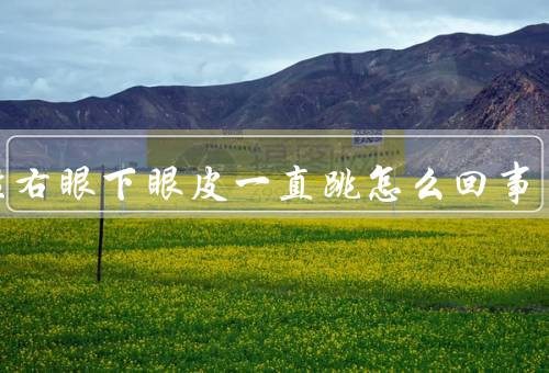 女性右眼下眼皮一直跳怎么回事，眼部疲劳、睡眠不足、精神压力过大