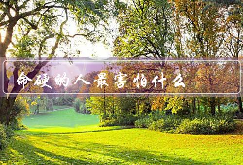命硬的人最害怕什么