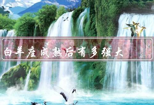 白羊座成熟后有多强大，奋斗不息／勇于面对挑战／能力突出