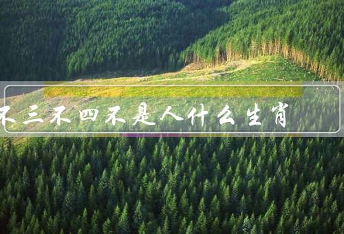 不三不四不是人什么生肖，表现／特点／如何应对人