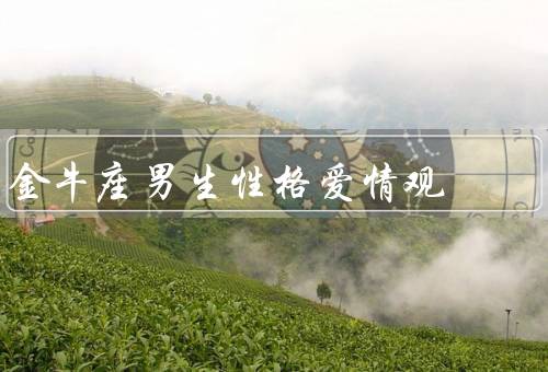 金牛座男生性格爱情观，坚持／专一／浪漫