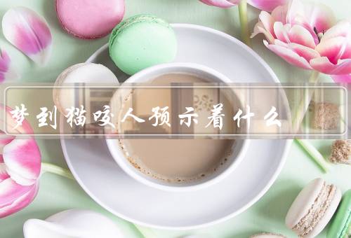 梦到猫咬人预示着什么，挑战／压力／警示