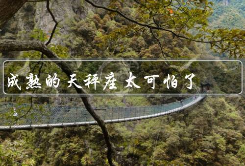成熟的天秤座太可怕了（追求完美／优柔寡断／过度迎合）