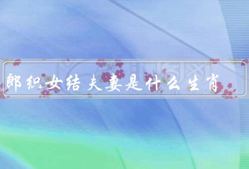 牛郎织女结夫妻是什么生肖，故事、生肖、牛特性与象征意义