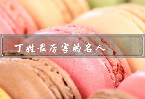 丁姓最厉害的名人（丁俊晖／丁家庄／丁磊）