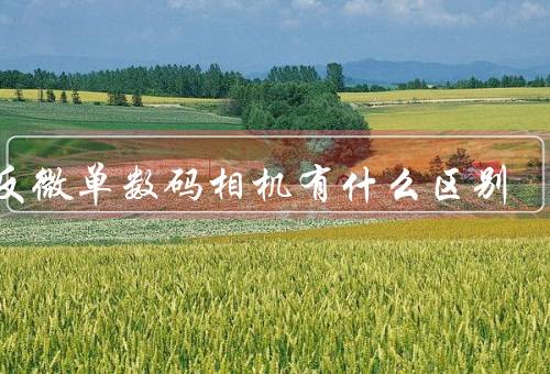 单反微单数码相机有什么区别（单反相机／微单相机／数码相机）
