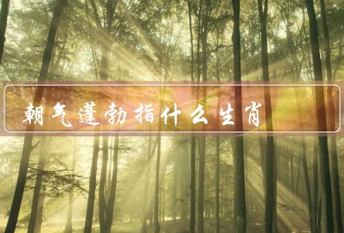 朝气蓬勃指什么生肖，鼠、龙、猴