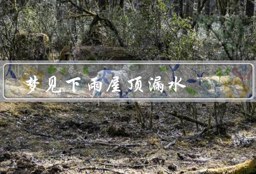 梦见下雨屋顶漏水 发财，潜在机遇／财富增长／平衡与调整