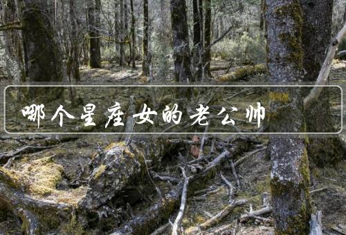 哪个星座女的老公帅，白羊座／狮子座／天秤座
