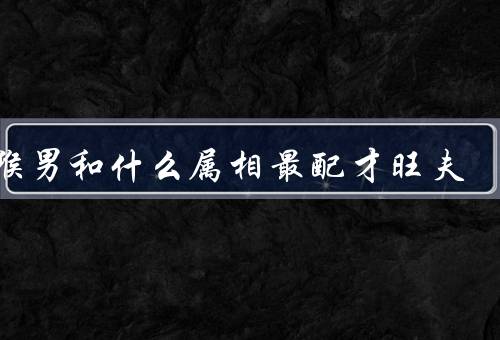 属猴男和什么属相最配才旺夫（默契、温柔的幽默、共同目标）