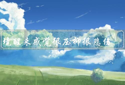 梦境醒来感觉很压抑很悲伤，破碎的梦境／失去的感觉
