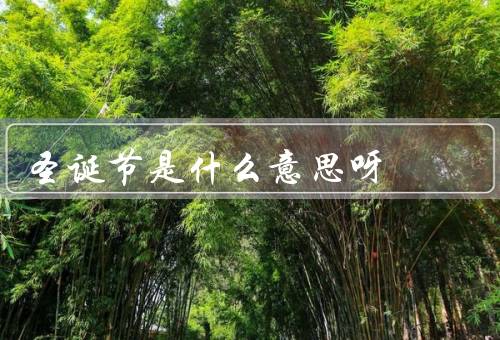 圣诞节是什么意思呀，起源／传统／文化