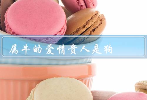 属牛的爱情贵人是狗，默契、信任、支持