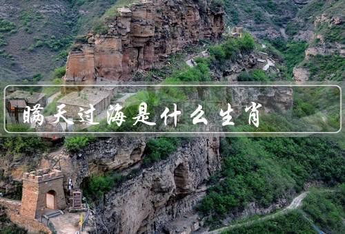瞒天过海是什么生肖（猴子的特点、应用）