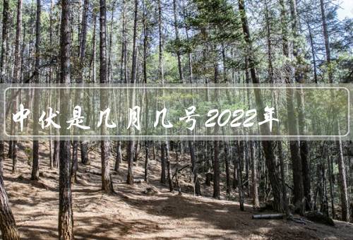 中伏是几月几号2022年，起源、习俗、意义