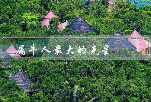 属牛人最大的克星（懒散的习性、固执的性格、缺乏进取心）
