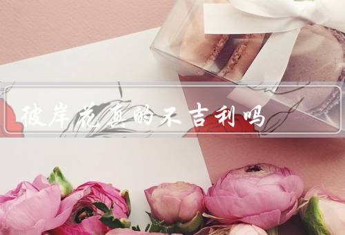 彼岸花真的不吉利吗，美丽与生命力／在文学与艺术中意义／科学特性