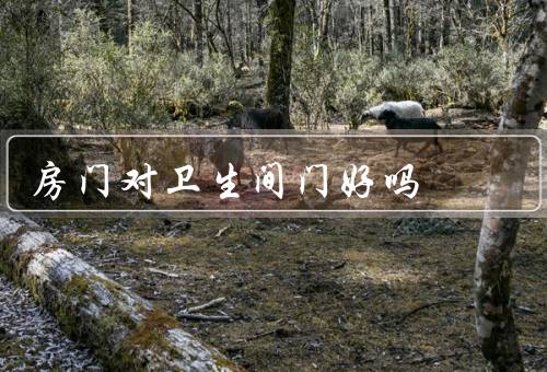 房门对卫生间门好吗 风水，对卫生间门的影响