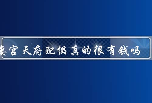 夫妻宫天府配偶真的很有钱吗（财富来源、奢侈生活、慈善事业）