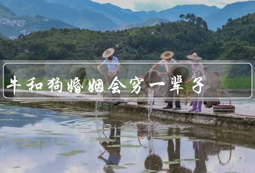 牛和狗婚姻会穷一辈子（性格不合、职业选择不同、生活习惯不同）