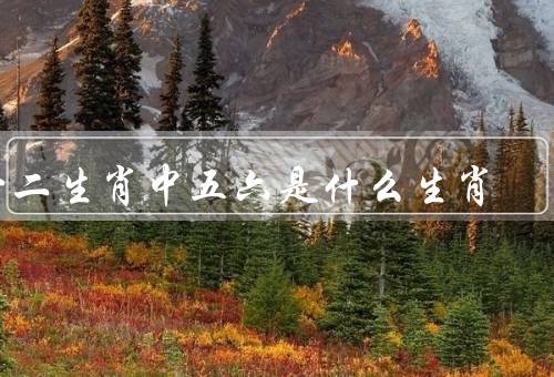 一二生肖中五六是什么生肖，五六是什么生肖、特点、运势