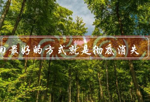 挽回最好的方式就是彻底消失，距离产生美、重新审视自己、重建信任