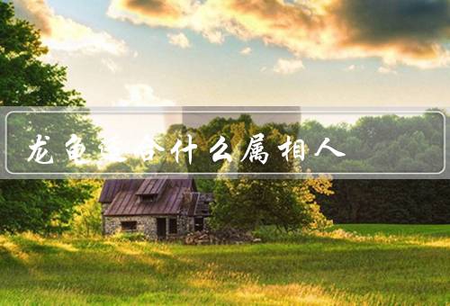 龙龟适合什么属相人，属鼠的人、属虎的人、属猪的人