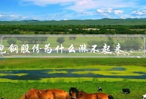 包钢股份为什么涨不起来（需求下滑／产能过剩／环保压力）