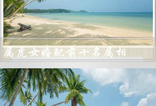 属虎女最佳婚配前十名属相（属鼠／牛／兔）