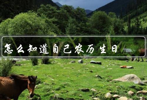 怎么知道自己农历生日，父母或长辈询问／农历生肖算一算