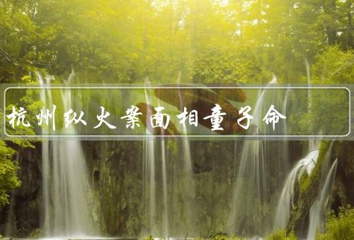 杭州纵火案面相童子命（纵火案背景／社会反响／警方调查与处理）