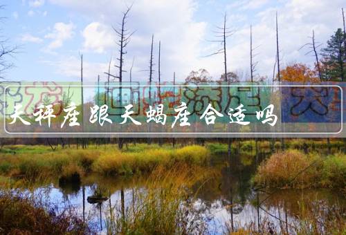 天秤座跟天蝎座合适吗（稳定的互补关系／相互吸引的魅力）