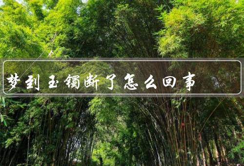 梦到玉镯断了怎么回事（象征意义、可能解释、反思）