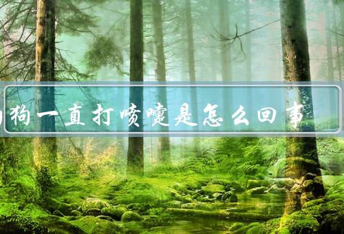 狗狗一直打喷嚏是怎么回事（感冒、过敏、异物进入鼻腔）