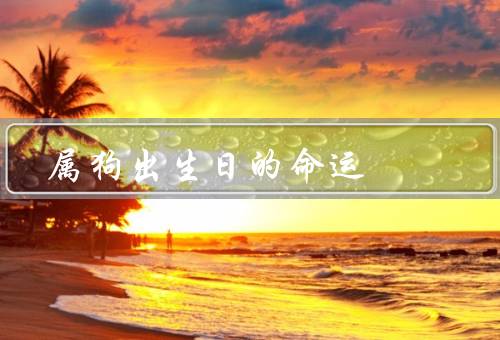 属狗出生日的命运（性格开朗／财运亨通／直率得罪人）